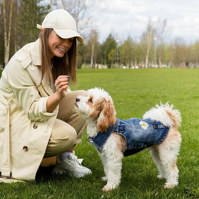 Dog Denim Jacket with Embroidered Daisy, Ripped Vintage Jean Vest - Image 6