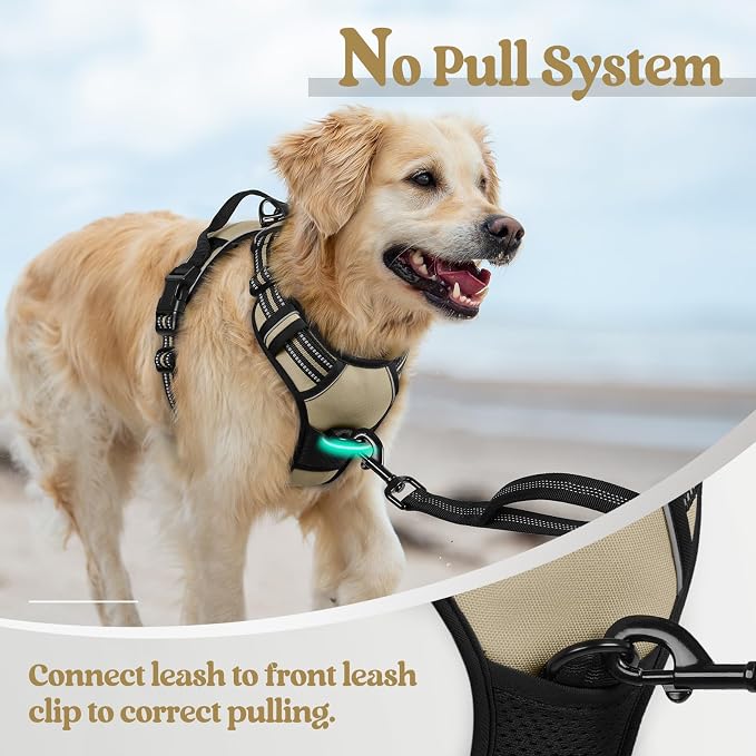 rabbitgoo Dog Harness No Pull - Image 5
