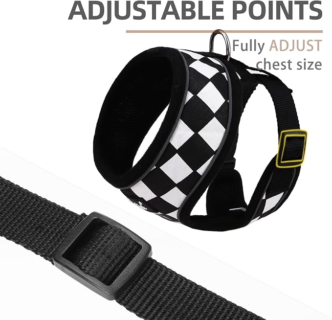 PUPTECK Soft Mesh Dog Harness and Leash Set Pet Puppy Cat Comfort Padded Vest - Image 3