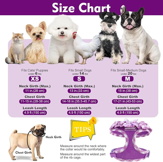 EXPAWLORER Cute Dog Harness and Leash Set - Image 4