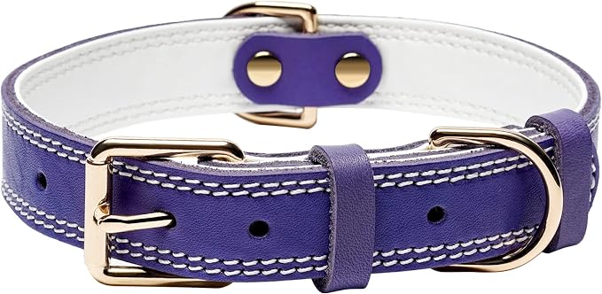 Genuine Leather Dog Collar, Heavy Duty Dog Collar, Wide Dog Collar by DAIHAQIKO