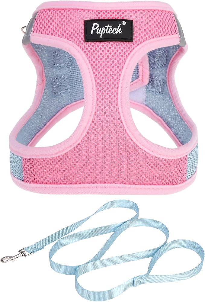 PUPTECK Dog Harness and Leash Set - Image 7