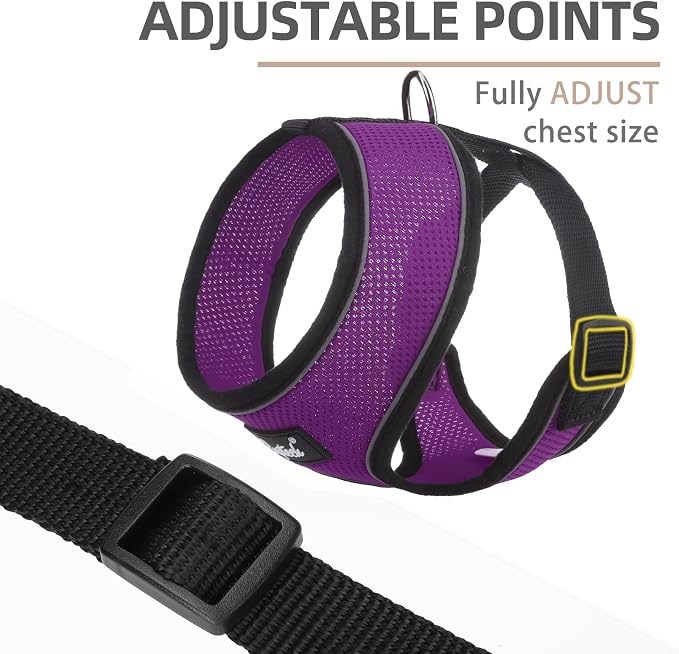 PUPTECK Soft Mesh Dog Harness and Leash Set Pet Puppy Cat Comfort Padded Vest - Image 3