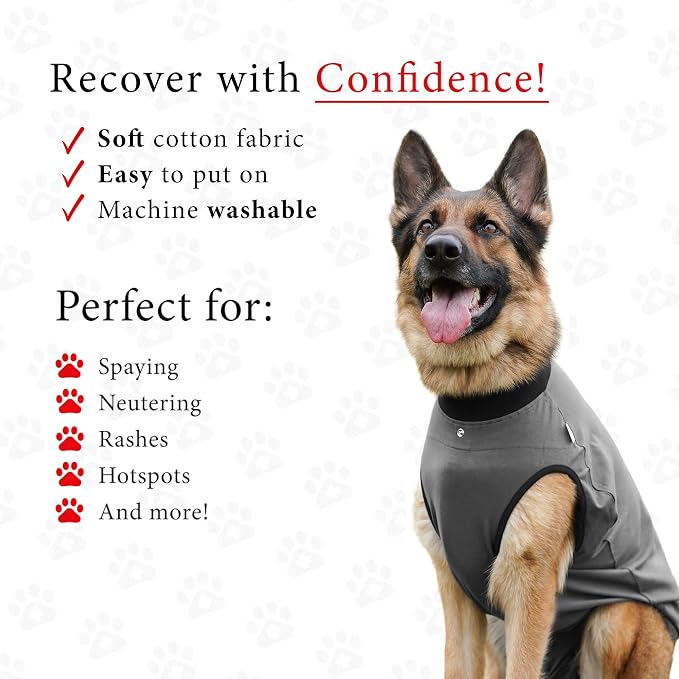 BellyGuard Dog Surgery Recovery Suit, Dog Onesie - Image 3