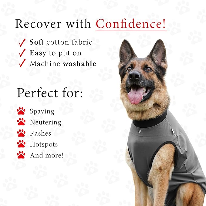 BellyGuard Dog Surgery Recovery Suit, Dog Onesie - Image 5