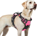 rabbitgoo Dog Harness for Large, No Pull Pet Harness by rabbitgoo