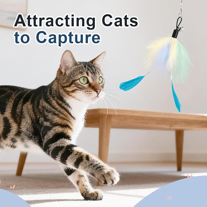 SONGWAY Cat Wand Toys for Indoor Cats - Image 5