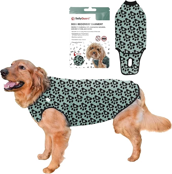 BellyGuard Dog Surgery Recovery Suit, Dog Onesie by BELLYGUARD