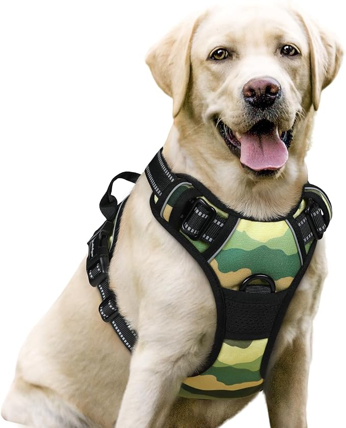 rabbitgoo Dog Harness No Pull by rabbitgoo