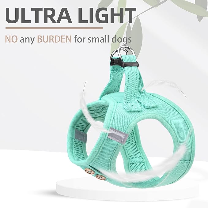 PUPTECK Dog Harness and Leash Set - Image 6