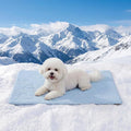 Cooling Blanket for Small Dogs by Zomisia