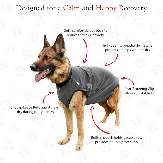 BellyGuard Dog Surgery Recovery Suit, Dog Onesie - Image 4