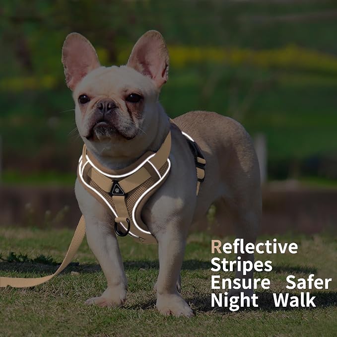 No Pull Dog Harness with Leash Set - Image 6