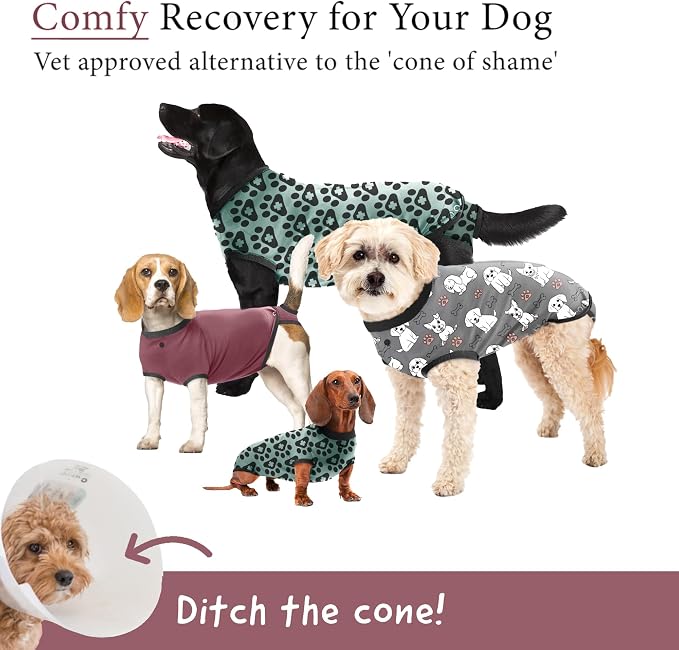 BellyGuard Dog Surgery Recovery Suit, Dog Onesie - Image 2