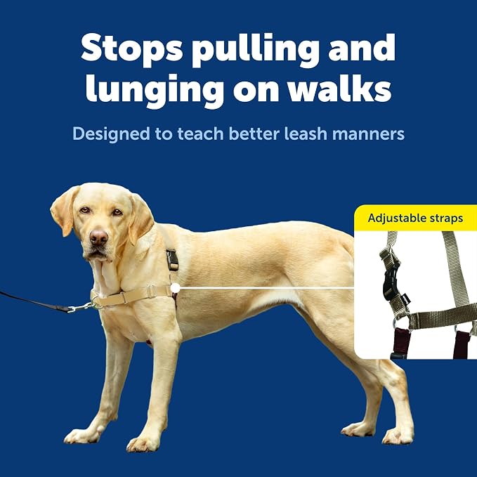 PetSafe Easy Walk Harness for Dogs - Image 3