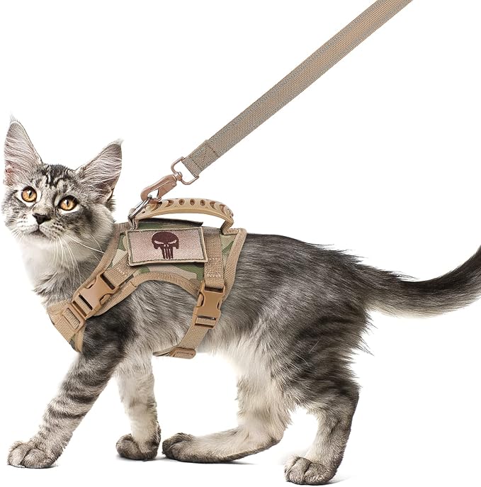 Tactical Cat Harness and Leash Set by SALFSE