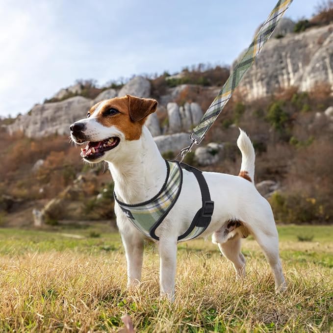 PUPTECK Soft Mesh Dog Harness and Leash Set Pet Puppy Cat Comfort Padded Vest - Image 6