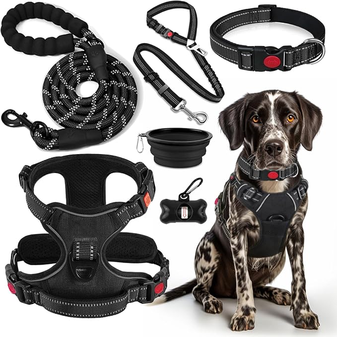 No Pull Dog Harness, Collar & Leash Set | Includes Dog Seat Belt, Collapsible by Lovebegetslove