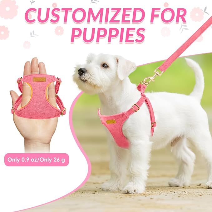 SlowTon Dog Harness Small Sized Dog - Image 2