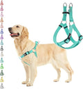 PUPTECK No Pull Dog Harness Soft Adjustable Basic Nylon Step in Puppy Halter by PUPTECK