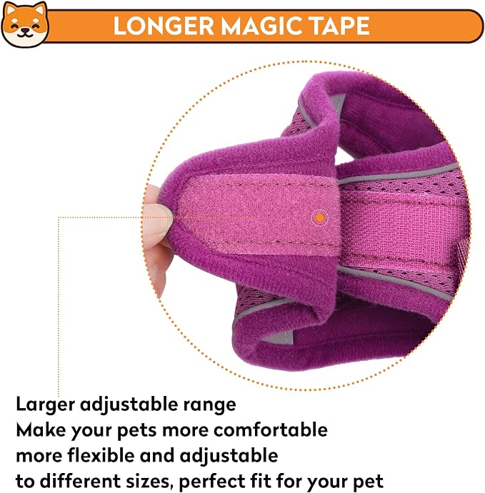 Dog Harness with Leash Set, No-Pull Step-in Reflective Pet Harness with 1 Leash - Image 5