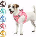 Gyuzh Dog Harness and Leash Set, Soft Mesh Breathable Small Dog Harness by Gyuzh
