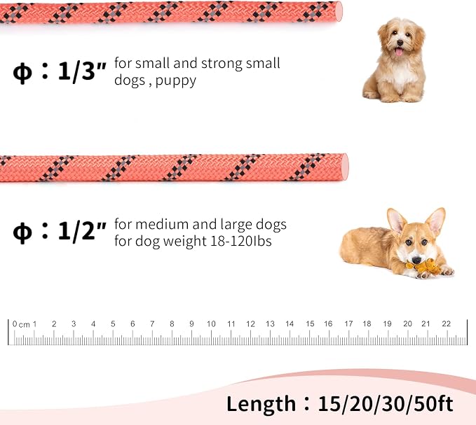 Long Dog Leash for Training 30Ft-Reflective Nylon Rope - Image 4