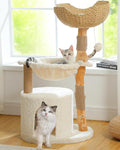 Modern Cat Tree for Large Cats, Wood Cat Tower for Indoor Cats, Real Branch by MUTTROS
