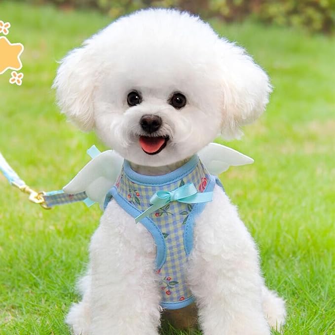 Dog Harness and Leash Set with Angle Wings, Pet Adjustable Mesh Vest Harness - Image 2