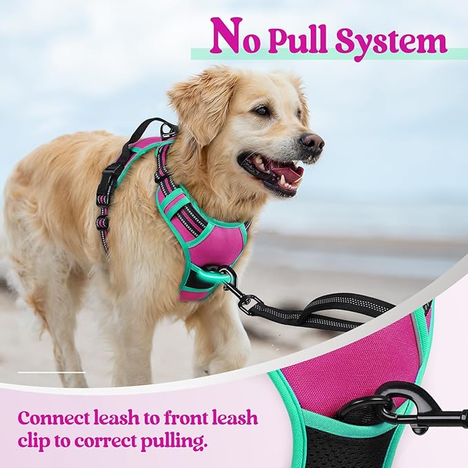 rabbitgoo Dog Harness No Pull - Image 5