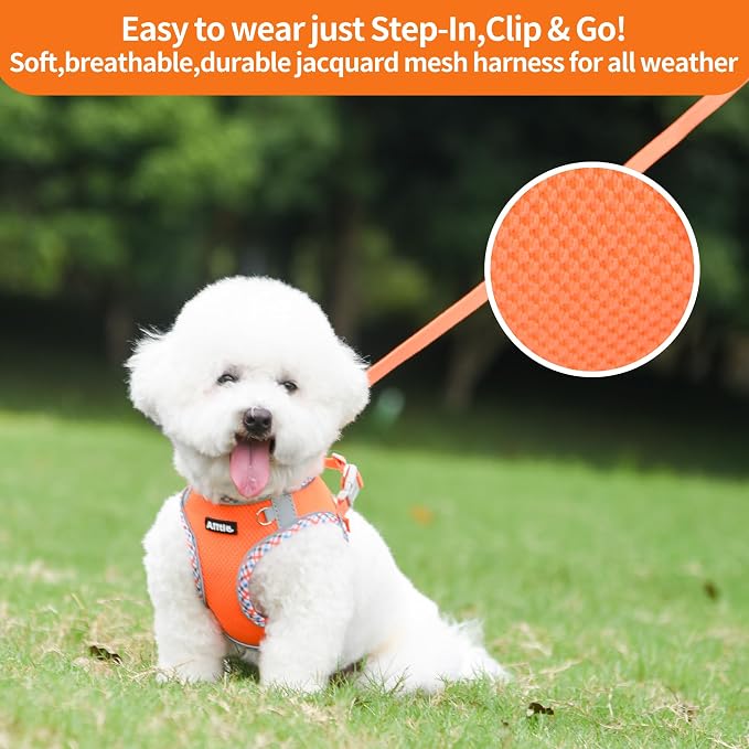 AIITLE Teacup Puppy Harness - Image 6