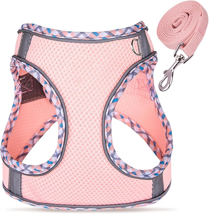 Cat Harness and Leash Set - Image 7