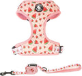 Coowone Dog Harness and Leash Set, Adjustable Puppy Harness and Soft Padded Dog by COOWONE
