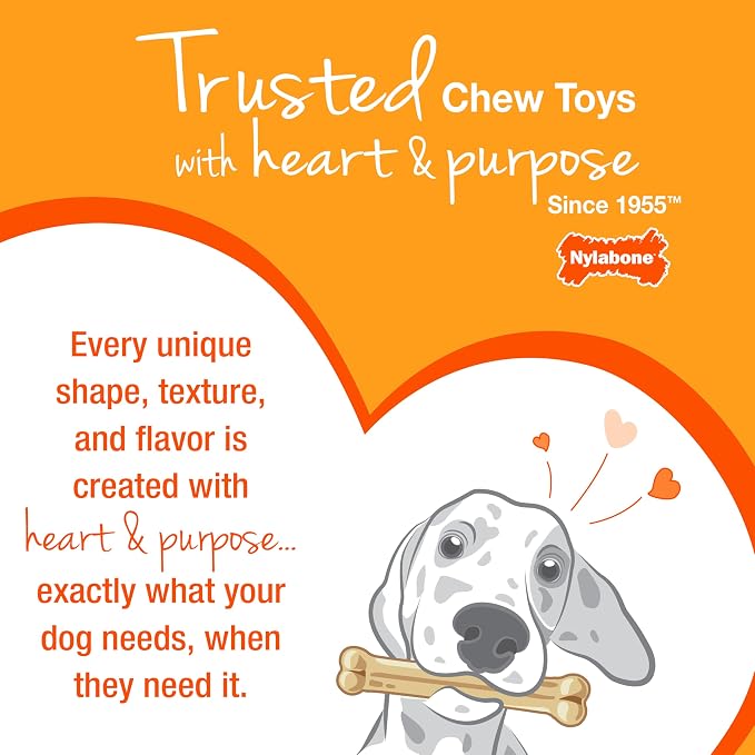 Nylabone Original Bone Power Chew Toy Value Pack - Image 13