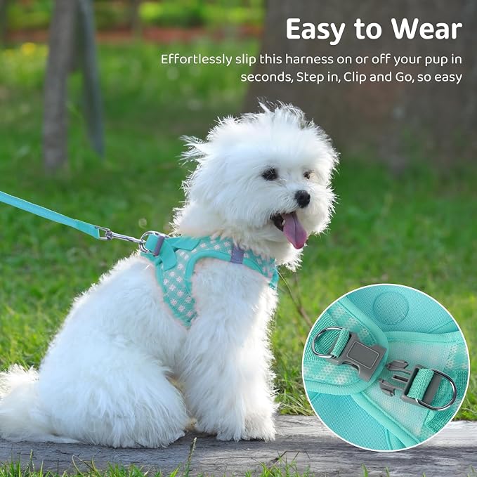 Gyuzh Dog Harness and Leash Set, Soft Mesh Breathable Small Dog Harness - Image 4