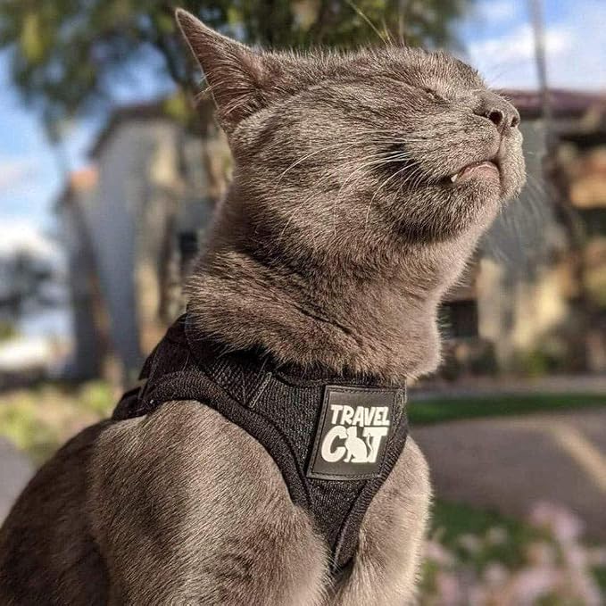 Travel Cat Harness and Leash Set - Image 2