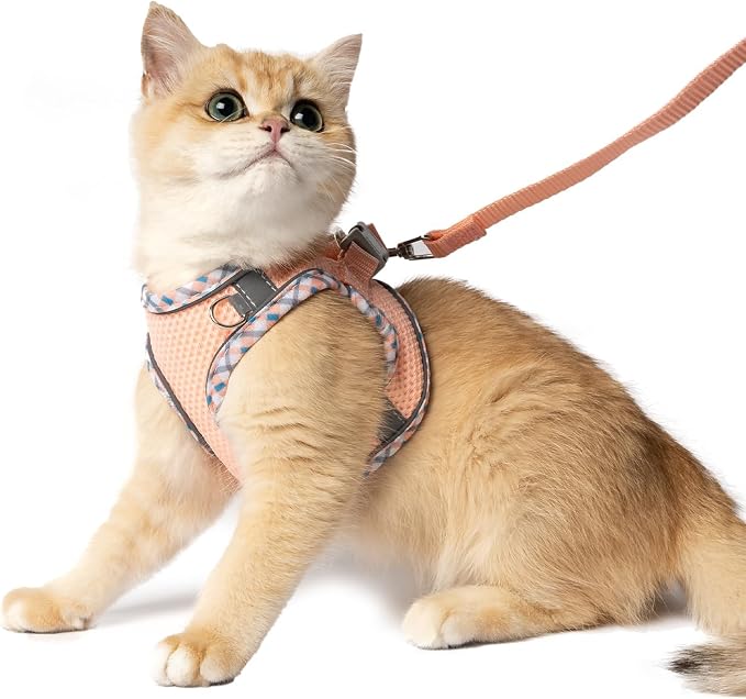 Cat Harness and Leash Set by Jestrem