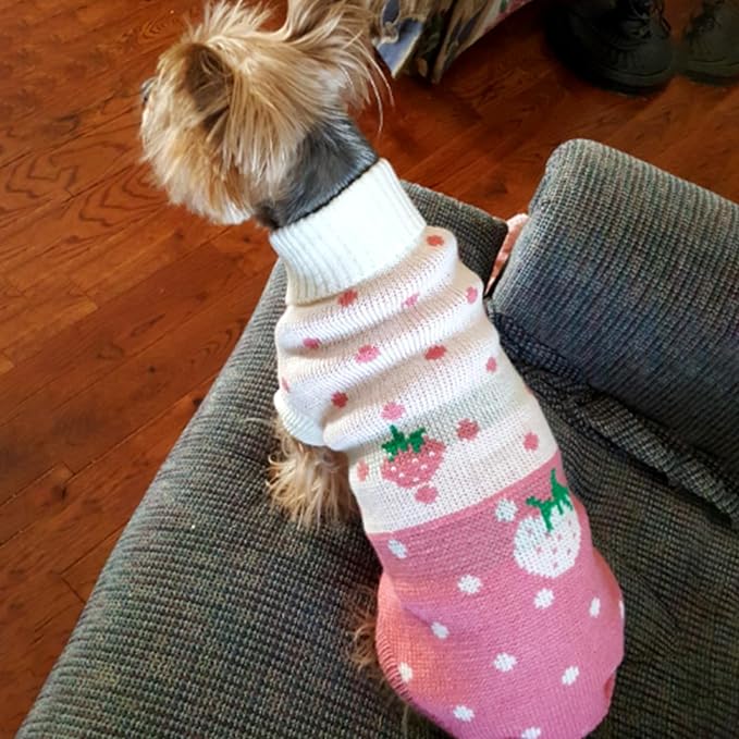 CHBORCHICEN Pet Dog Sweaters Classic Knitwear Turtleneck Winter Warm Puppy - Image 3
