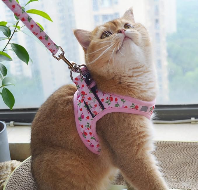 Moonpet Step in Valentine's Day Dog Harness Leash Set- All Weather Reflective - Image 4