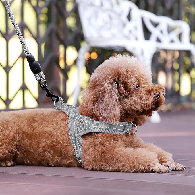 Plutus Pet No Pull Dog Harness - Image 5