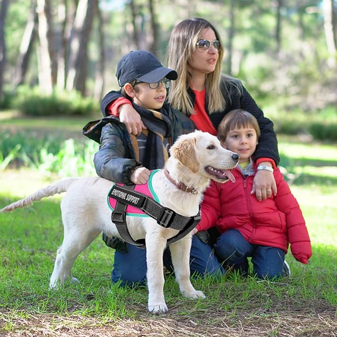 voopet Service Dog Harness, Emotional Support Pet Vest Harness, Reflective - Image 3
