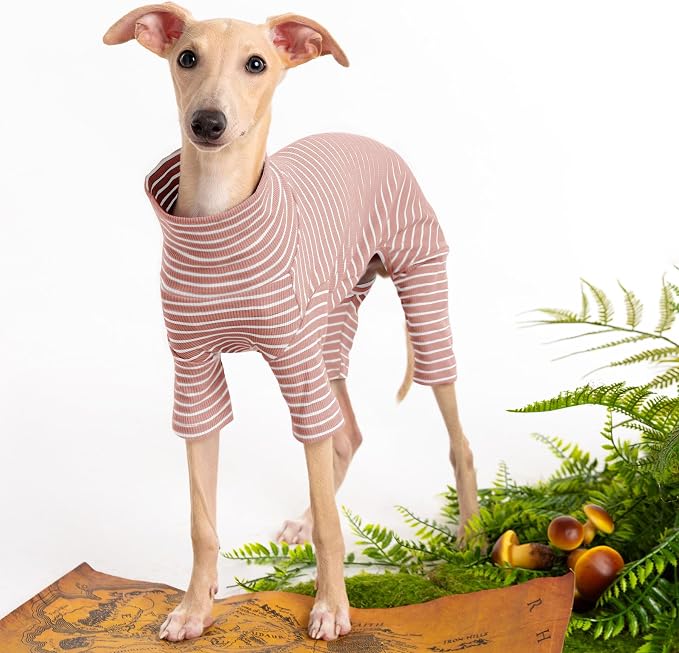 Dog Sweaters for Small Dogs Girls Boys, Striped Pet Sweaters for Fall Winter - Image 2