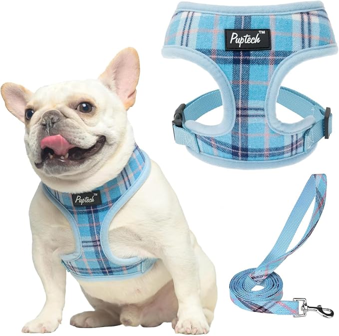 PUPTECK Soft Mesh Dog Harness and Leash Set Pet Puppy Cat Comfort Padded Vest by PUPTECK
