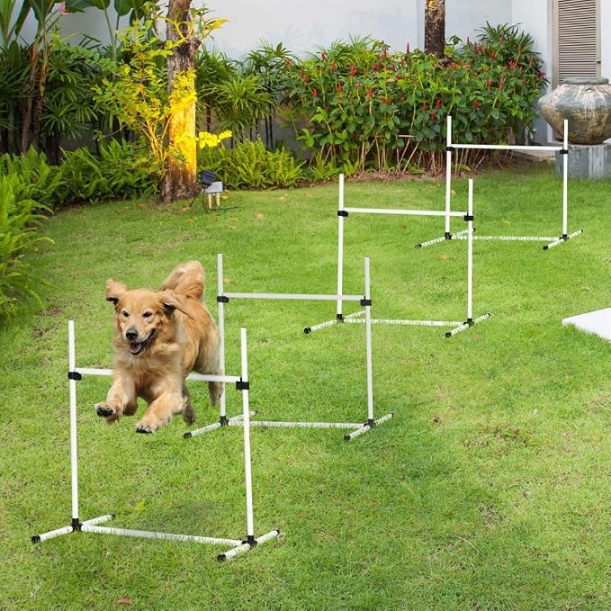 4 Piece Dog Agility Training Equipment by anwickjeff