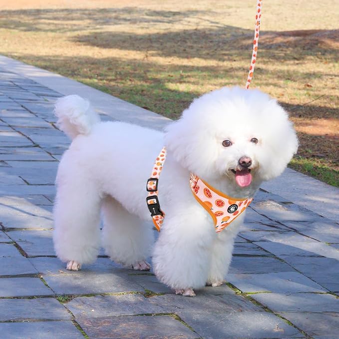 Dog Cat Harness and Leash Set, Puppia Soft Mesh Padded and Adjustable Puppy - Image 6