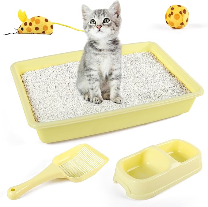 PAWISE Cat Litter Box Set, Small Kitten Starter Kit, Includes Litter Box by PAWISE