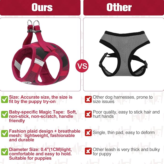 BEAUTYZOO Small Dog Harness and Leash Set, Step in No Choke No Pull Soft Mesh - Image 5