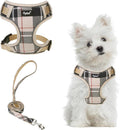 PUPTECK Small Dog Harness and Leash Set, No Pull Adjustable Puppy Cat Harness by PUPTECK