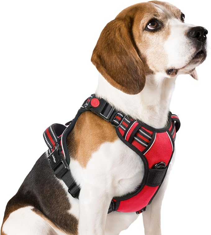 rabbitgoo Dog Harness Medium Sized, No Pull Pet Harness by rabbitgoo