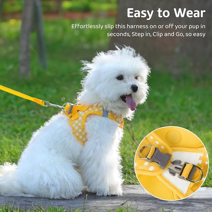 Gyuzh Dog Harness and Leash Set, Soft Mesh Breathable Small Dog Harness - Image 4